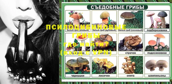 не бодяженный Белокуриха