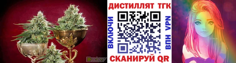 ТГК гашишное масло  закладки  Светлогорск 