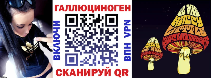 omg маркетплейс  Светлогорск  Псилоцибиновые грибы Psilocybe 