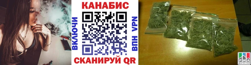 нарко площадка клад  Светлогорск  Шишки марихуана план  купить  сайты  hydra ТОР 